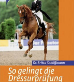 So gelingt die Dressurprüfung (M)